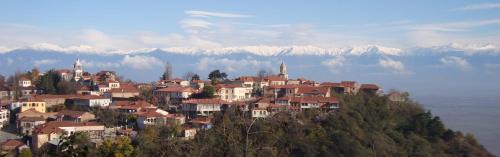 Sighnaghi Apartment | Apartment RELAX POINT