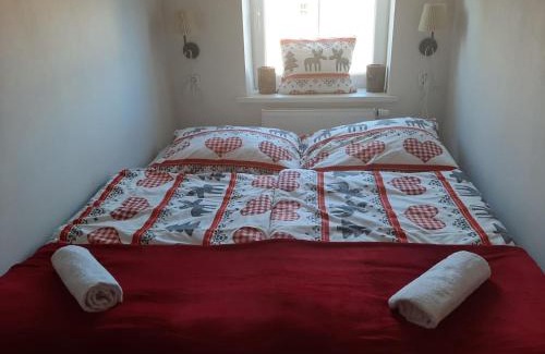 Cheb Apartment | Apartment Riegerovka
