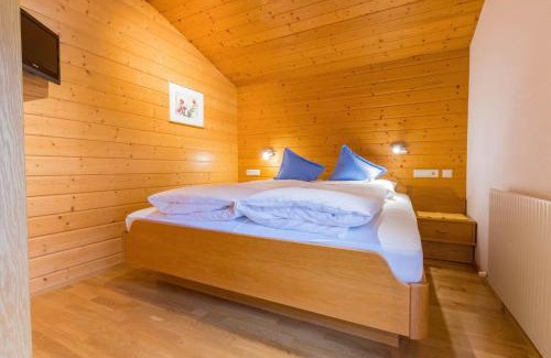 Sankt Gallenkirch Apartment | Apartment Rotbühlspitze