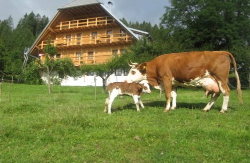 Schonach im Schwarzwald Apartment | Apartment Rusticana with 75 sqm, 2 bedrooms for max. 4 persons