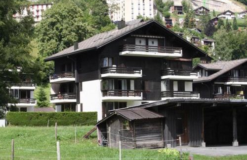 Engelberg Apartment | Apartment Sörenweg 5 by Interhome