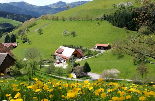 Zell am Harmersbach Apartment | Apartment 'Schäfchen' with Shared Garden and Wi-Fi