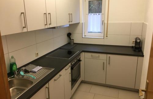 Loerrach Apartment | Apartment Schiller