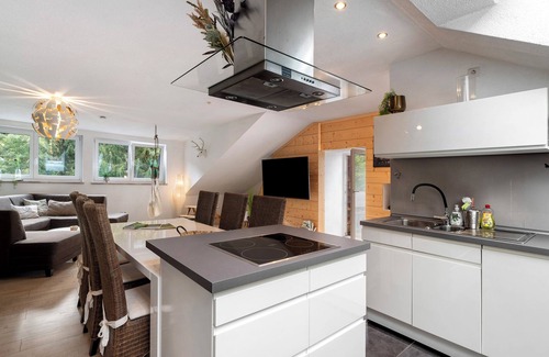 Freudenstadt Apartment | Apartment 'Schwarzwaldloft' with Shared Garden, Balcony and Wi-Fi