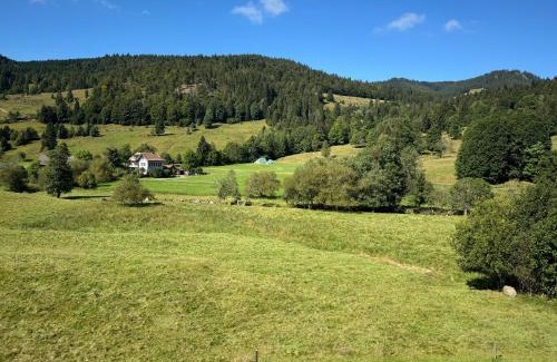 St. Blasien Apartment | Apartment Schwinbachblick mit 2 Balkonen