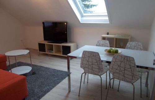 Wasseralfingen Apartment | Apartment Seven Ducks