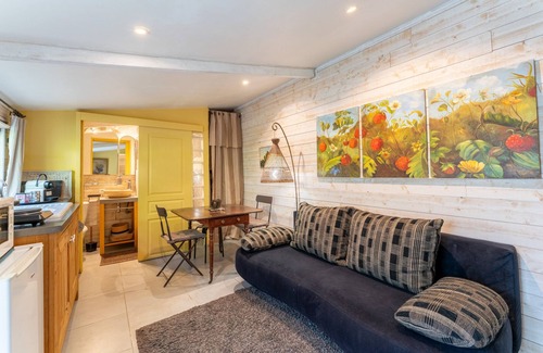 Avignon Apartment | Apartment 'Studio De Charme' with Private Garden and Wi-Fi