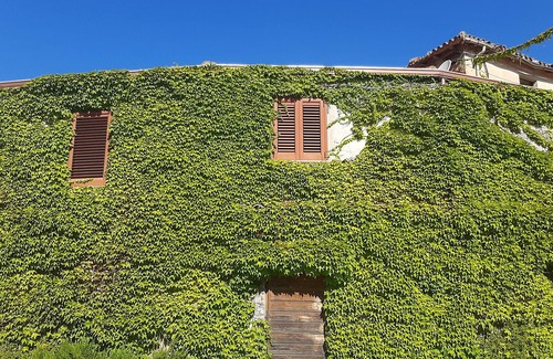 Montecani Apartment | Apartment surrounded by greenery between Iglesias and Fluminimaggiore.