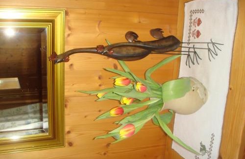 Grossdorf Apartment | Apartment Sutterlüty