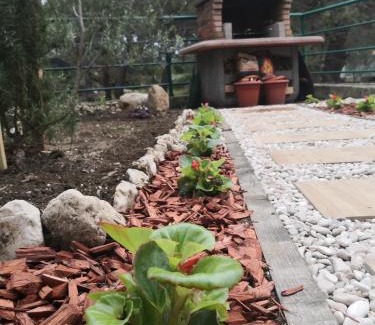 Blato Apartment | Apartment Tomic
