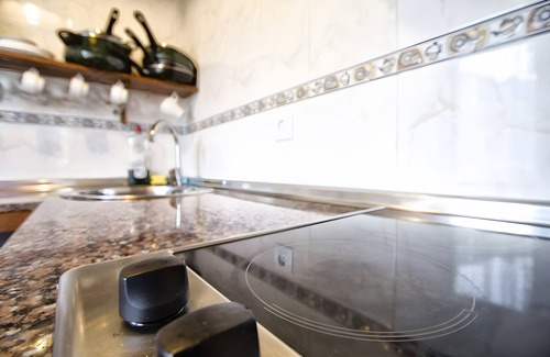 Cangas de Onis House | Apartment 'Trasgu' with Mountain View, Private Terrace and Wi-Fi