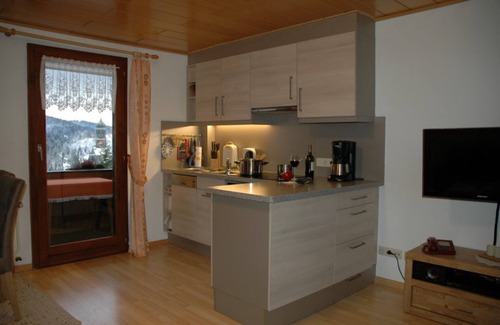 Todtmoos Apartment | Apartment - Type C