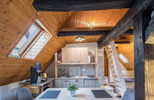 Alsfeld Apartment | Apartment 'Über Den Dächern Alsfels' with Wi-Fi