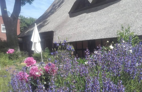 Hasseldieksdamm Apartment | Apartment-under-thatch
