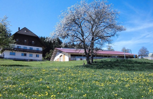 Sankt Georgen im Schwarzwald Apartment | Apartment 'Ursprung' with Balcony and Wi-Fi