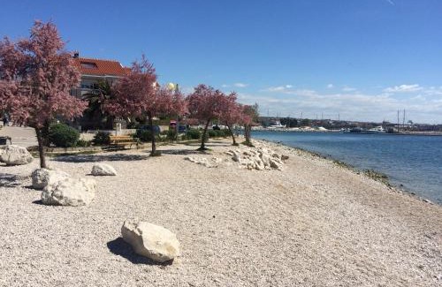 Zadar Apartment | Apartment Valery