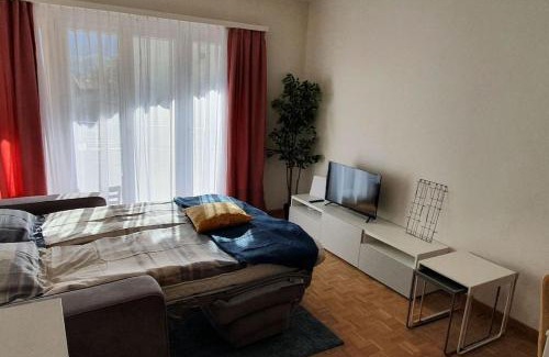 Muralto Apartment | Apartment via San Carlo in Muralto-Locarno