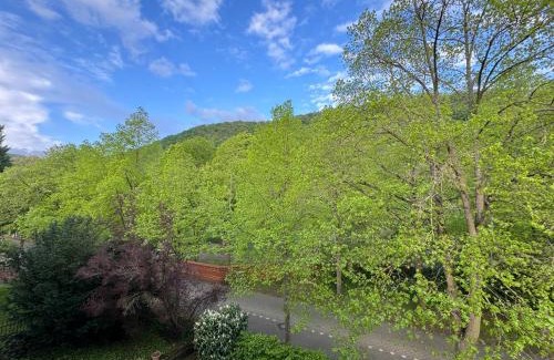 Bad Kreuznach Apartment | Apartment Villa Elisa