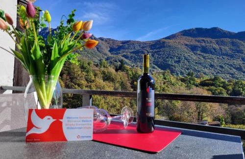 Capriasca Apartment | Apartment Villaggio Sureggio C7 mit TicinoTicket by Interhome