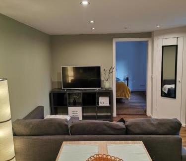 Meiningen Apartment | Apartment Viola