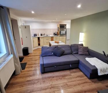 Meiningen Apartment | Apartment Viola