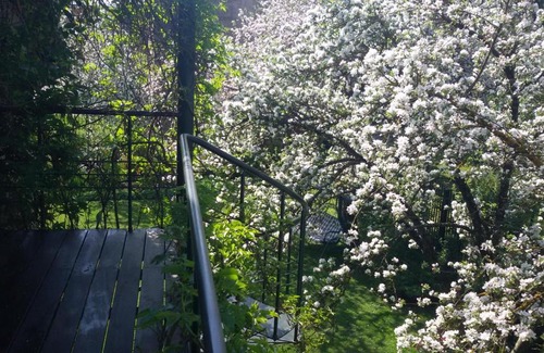 Pleskodale Apartment | Apartment Volguntes Street