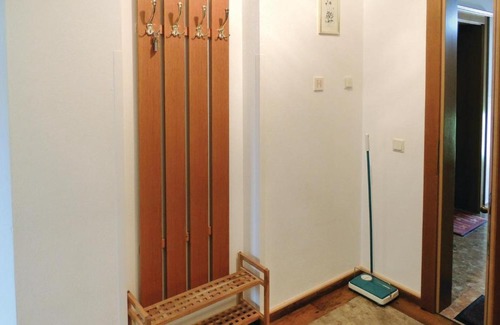 Flachau Apartment | Apartment Wastlgasse V