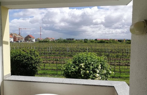 Bad Duerkheim Apartment | Apartment Weinberg-Blick - Apartment, bathroom, toilet, non-smoking