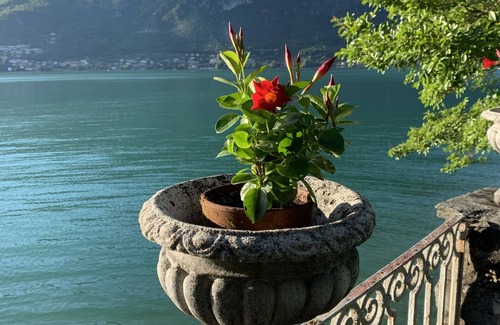 Claino Con Osteno Apartment | Apartment with garden, direct access to the lake in ancient villa