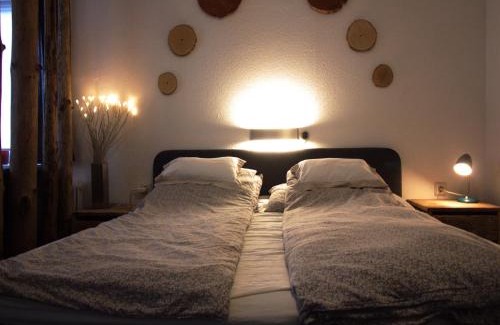 Bichlbach Apartment | Apartment with a shared sauna in Bichlbach