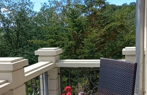 Wilkau-Haßlau Apartment | Apartment with balcony
