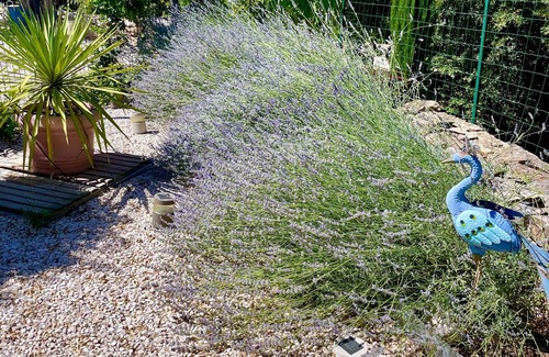 Brignoles Apartment | Apartment with private terrace in green Provence