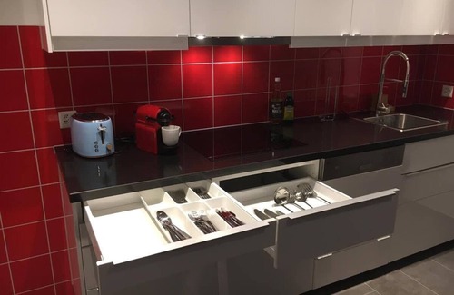 Rorschach Apartment | Apartment with shower - washing machine - 180 degree lake view