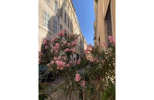 Thiers Apartment | Apartment with terrace in the center of Marseille