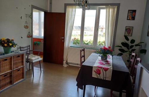 Sint-Agatha-Berchem Apartment | Apartment with terrace in Berchem-Sainte-Agathe