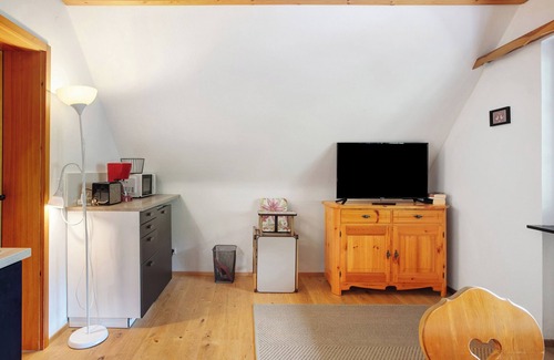 St. Blasien Apartment | Apartment 'Wohnung 2 - Familienappartement' with Balcony and Wi-Fi