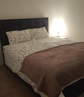 Pirot Apartment | Apartment Zmaj
