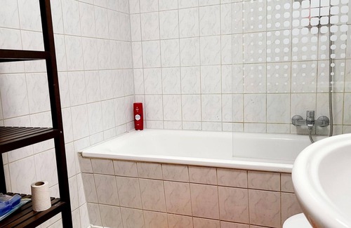 Plauen Apartment | Apartment Zur Elster 1, bathtub, shower/WC, 2 SR - Ferienwohnungen Graf