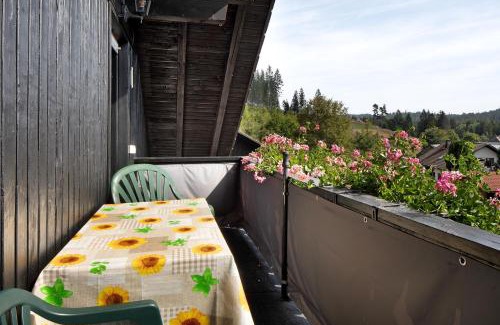 Schluchsee Apartment | Apartmenthaus Fister