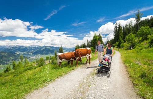 Kaprun Apartment | Apartmenthaus Gotthardt