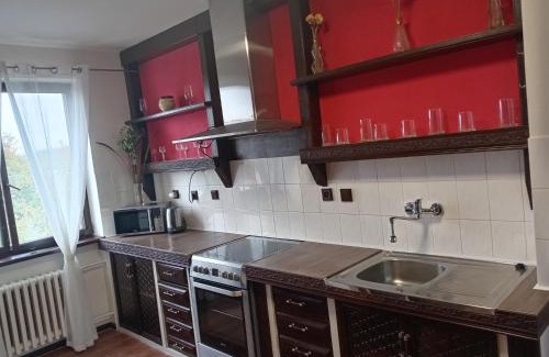 Karlovy Vary Apartment | Apartments Alena - Karlovy Vary