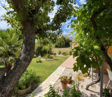 Palit House | Apartments and Rooms Markovski