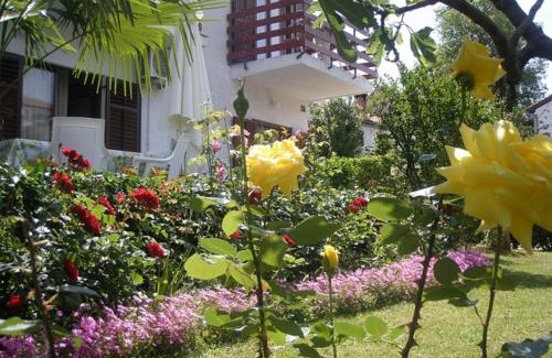 Porec Apartment | Apartments Barbara