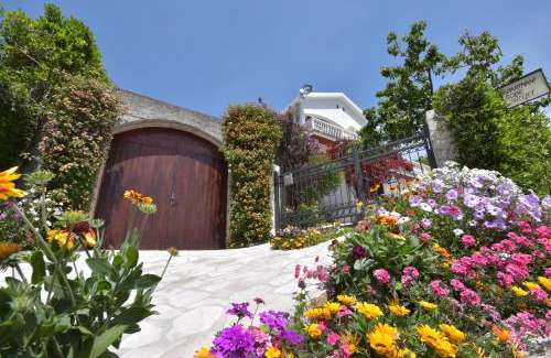 Lipci Apartment | Apartments Biga