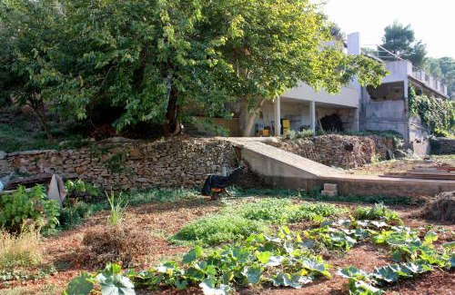 Cove Basina (Jelsa) Apartment | Apartments by the sea Basina, Hvar - 9673