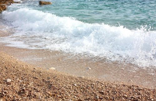 Ivan Dolac Apartment | Apartments by the sea Ivan Dolac, Hvar - 5709