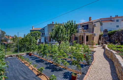 Nerezine Apartment | Apartments by the sea Nerezine, Losinj - 2519