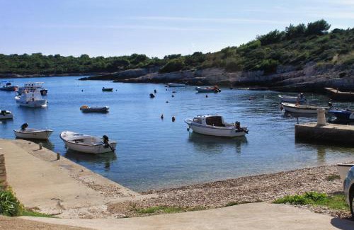 Rukavac Apartment | Apartments by the sea Rukavac, Vis - 2478