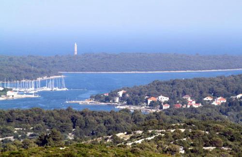 Verunic Apartment | Apartments by the sea Verunic, Dugi otok - 8104