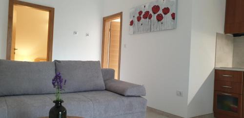 Rovinj Apartment | Apartments Cocaletto5